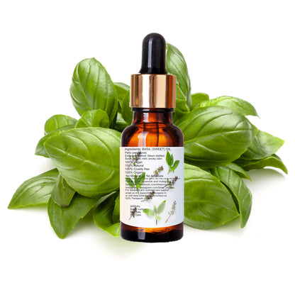 Basil(sweet) essential oil