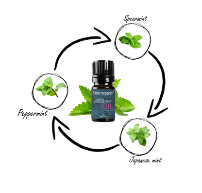 Dazzling Mint 5ML- Essential oil Blend