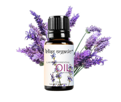 Lavender Essential Oil