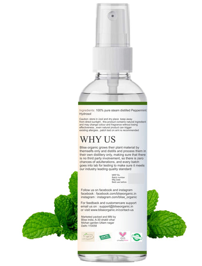 Peppermint Hydrosol Mist