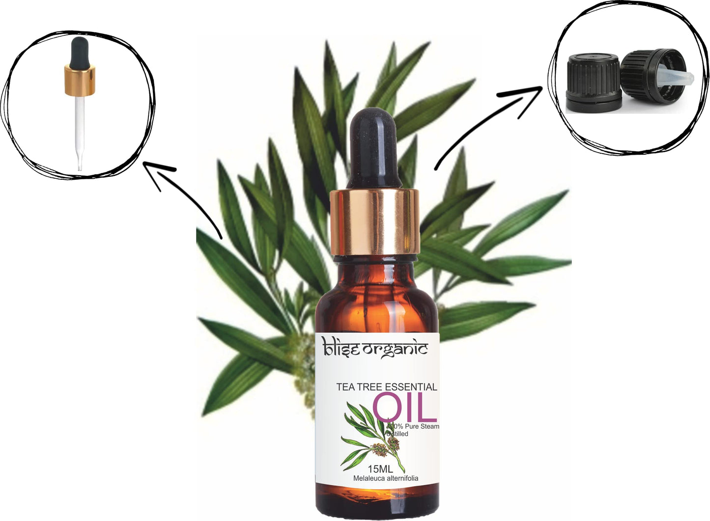 Tea tree Essential oil Indian