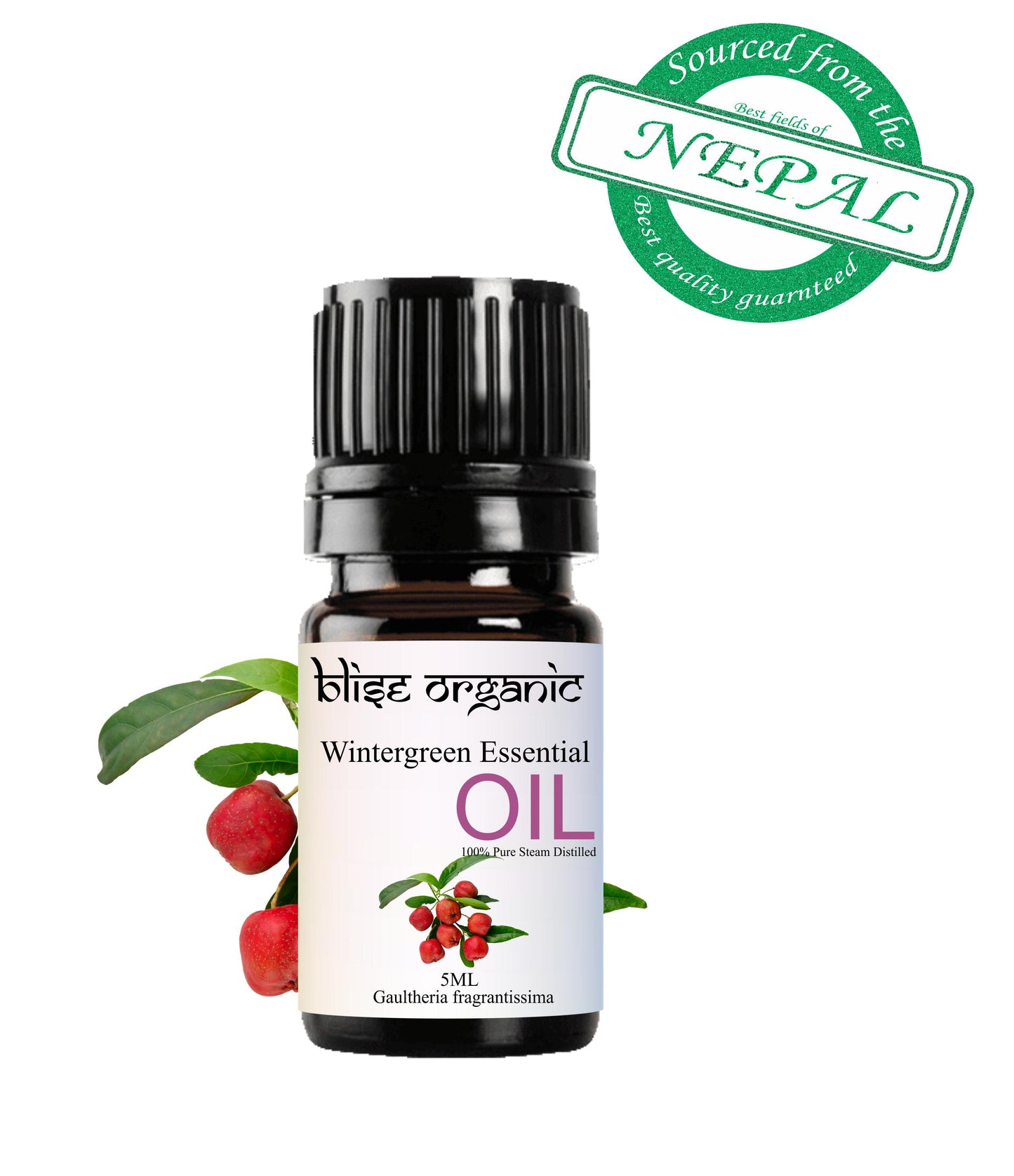 Wintergreen oil (Wild)