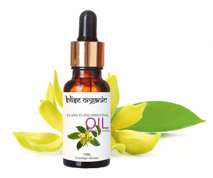 Ylang Ylang Essential Oil