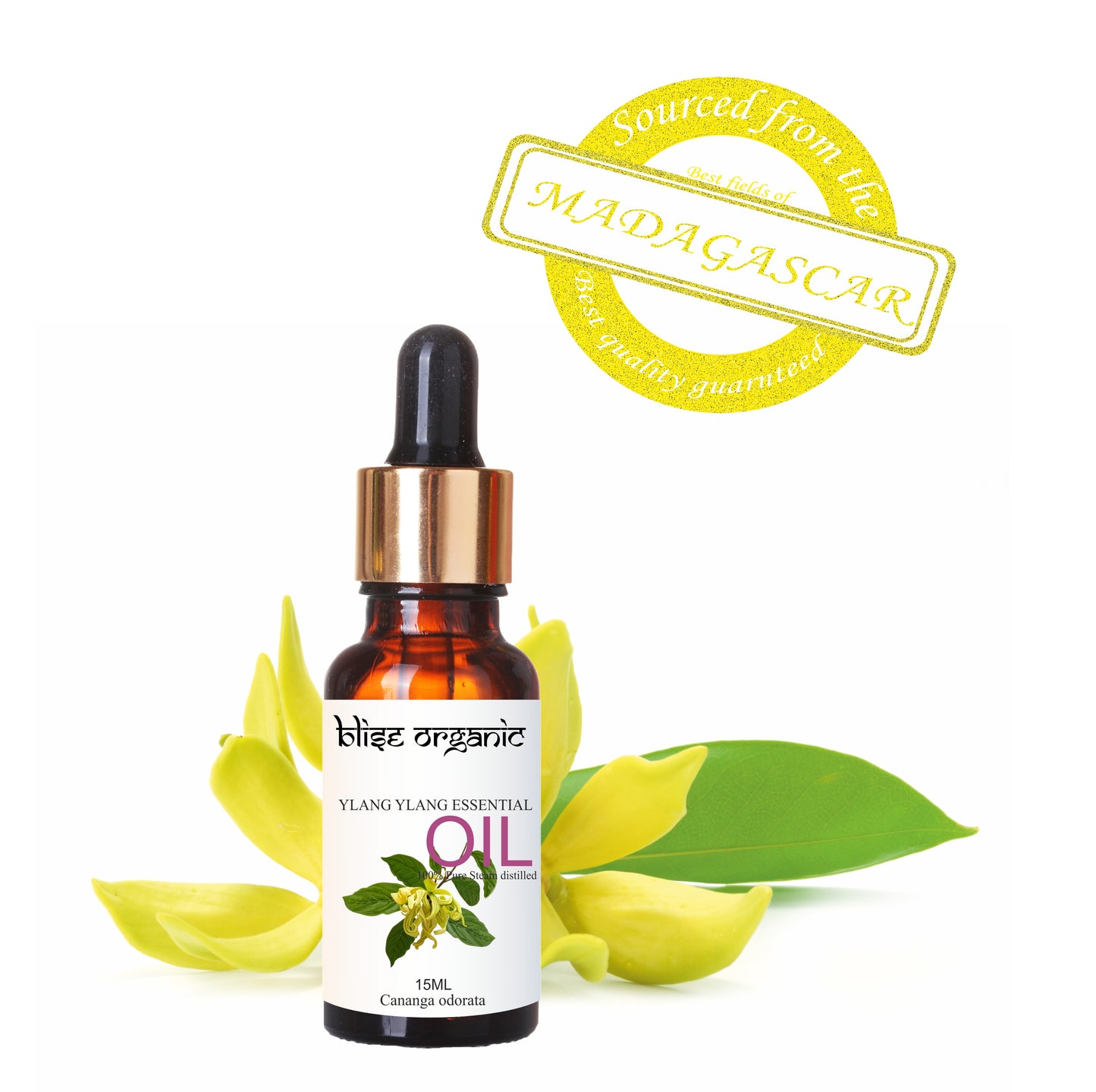 Ylang Ylang Essential Oil